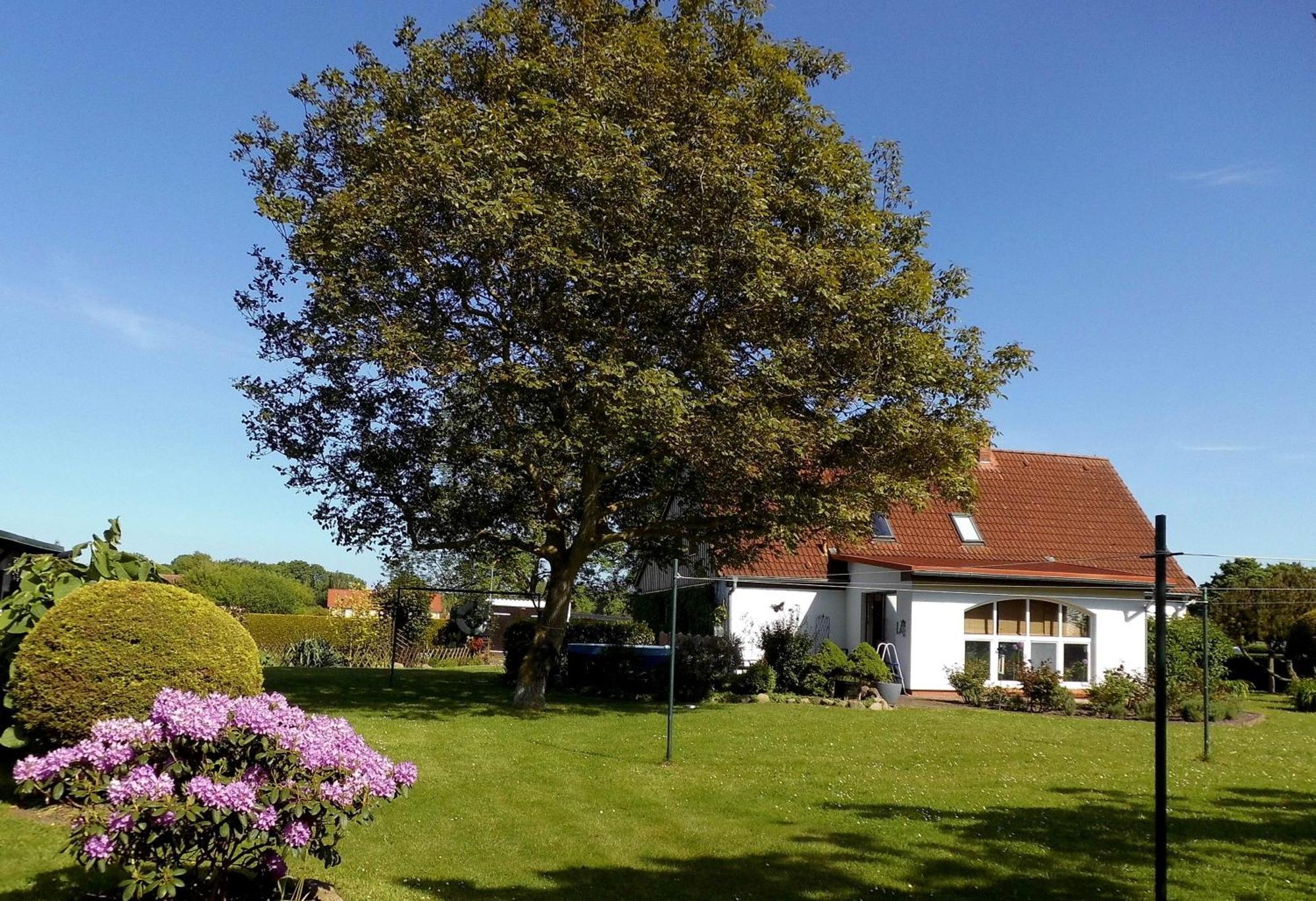 Kluis Bungalow Und Ferienwohnung Auf Ruegen מראה חיצוני תמונה